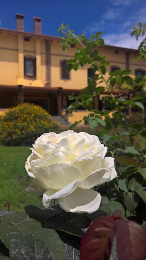 Hotel Boma 3*